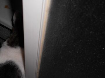 10月4日（22-4）仮