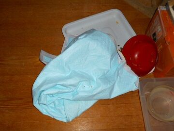 11月14日（1）仮