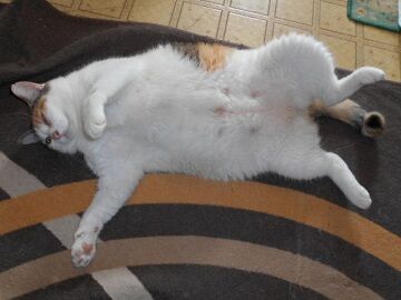 9月7日（8-2）仮