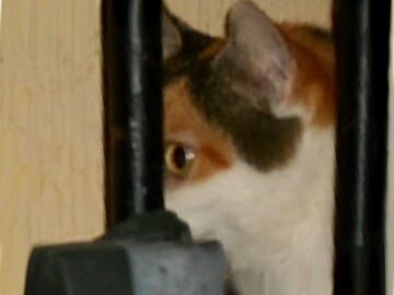 9月7日（9-7.5）仮