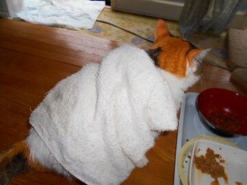 10月25日（12）仮