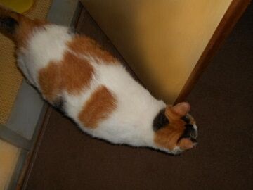 9月20日（19-8）仮