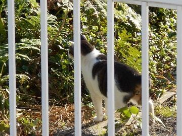 9月30日（7-11）仮