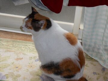 9月13日（8-5）仮