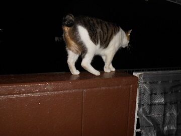 9月10日（18-5）仮