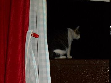 9月29日（21-3）仮