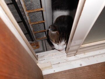 10月7日（21-7）仮