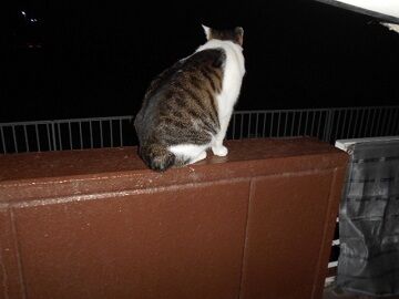 9月30日（23-2）仮