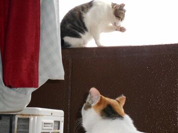 10月2日（15-15）仮