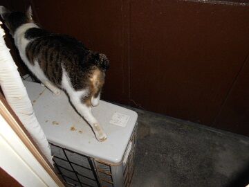 9月29日（0-8）仮