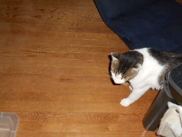 7月20日（22）仮