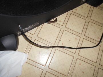 9月30日（49）仮