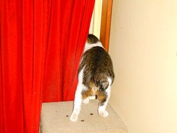 12月17日（24）仮