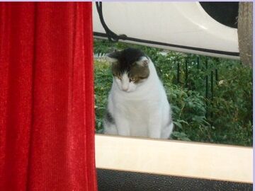 8月17日（15）仮