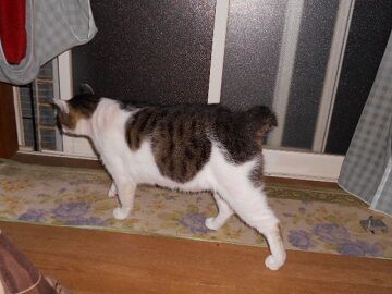 10月7日（22-7）仮