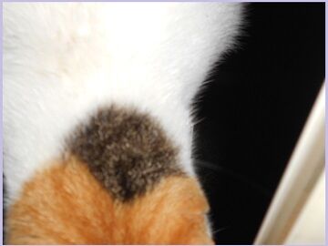 9月18日（40）仮