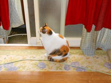 10月26日（15）仮