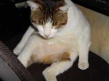 3月25日（27）仮