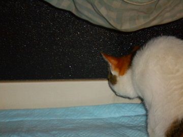 9月18日(10)