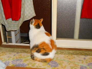 10月26日（9）仮