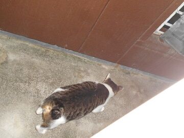 9月12日（22-16）仮