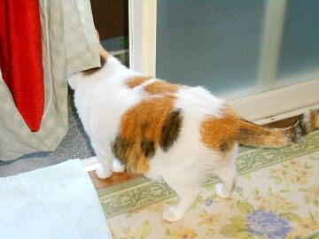 6月25日（42）仮