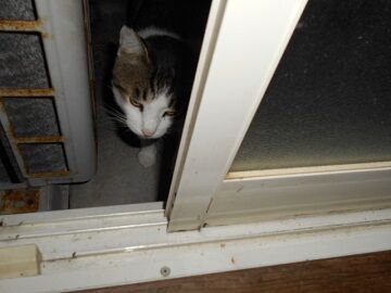 9月8日（19-4）仮