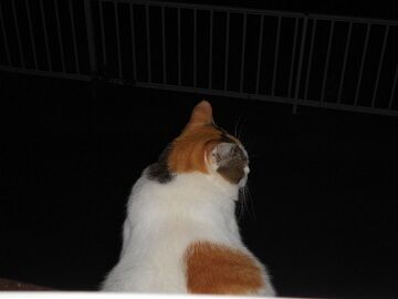 9月29日（20-12）仮