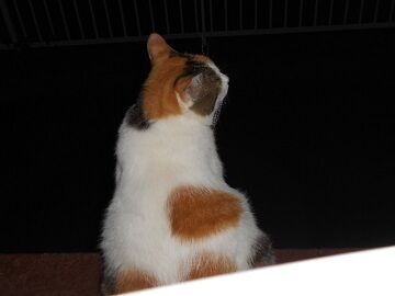 9月12日（20-3）仮