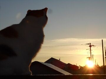 9月30日（5-3）仮