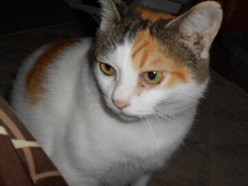 9月25日（19-4）仮