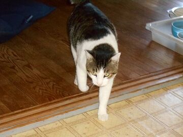 9月20日（57）仮