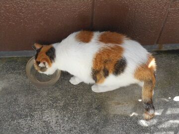 9月9日（10-1）仮