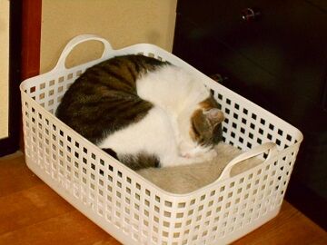 4月30日（18）仮