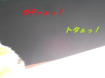 9月28日（4-12）仮