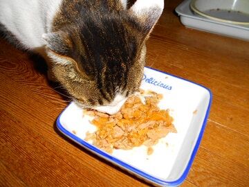 12月17日（23）仮