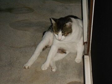 9月14日（5-3）仮