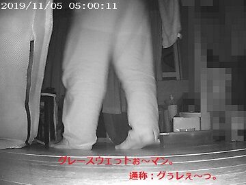 11月5日（26）仮