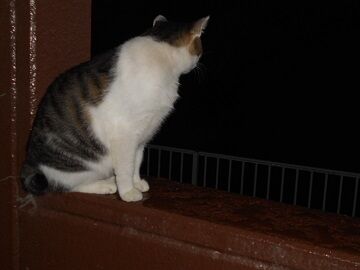 9月21日（3-10）仮