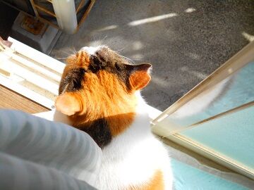 11月24日（22）仮