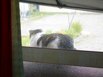 3月27日（17）仮