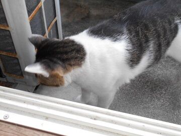 9月17日（6-2）仮