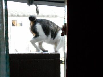 9月20日（54）仮