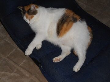 9月25日（12-1）仮