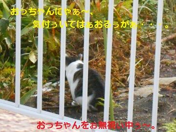 10月23日（3）仮