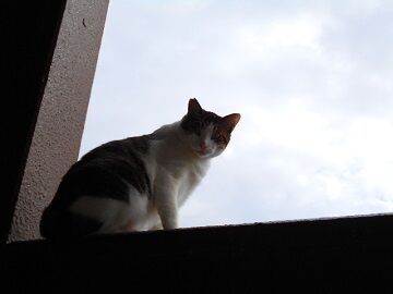 11月13日（27）仮