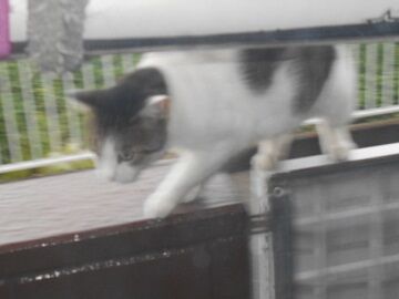 8月24日（49）仮