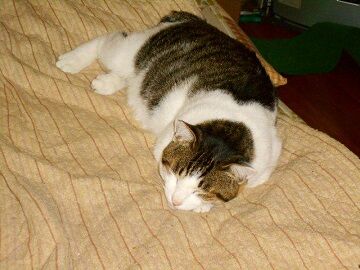 10月22日（13）仮