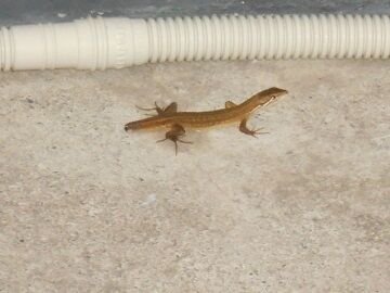 9月30日（53）仮