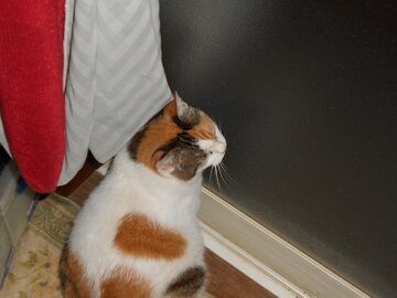 9月3日（2－2）仮